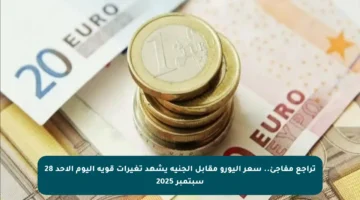 تراجع مفاجئ.. سعر اليورو مقابل الجنيه يشهد تغيرات قوية اليوم الأحد 28 سبتمبر 2025